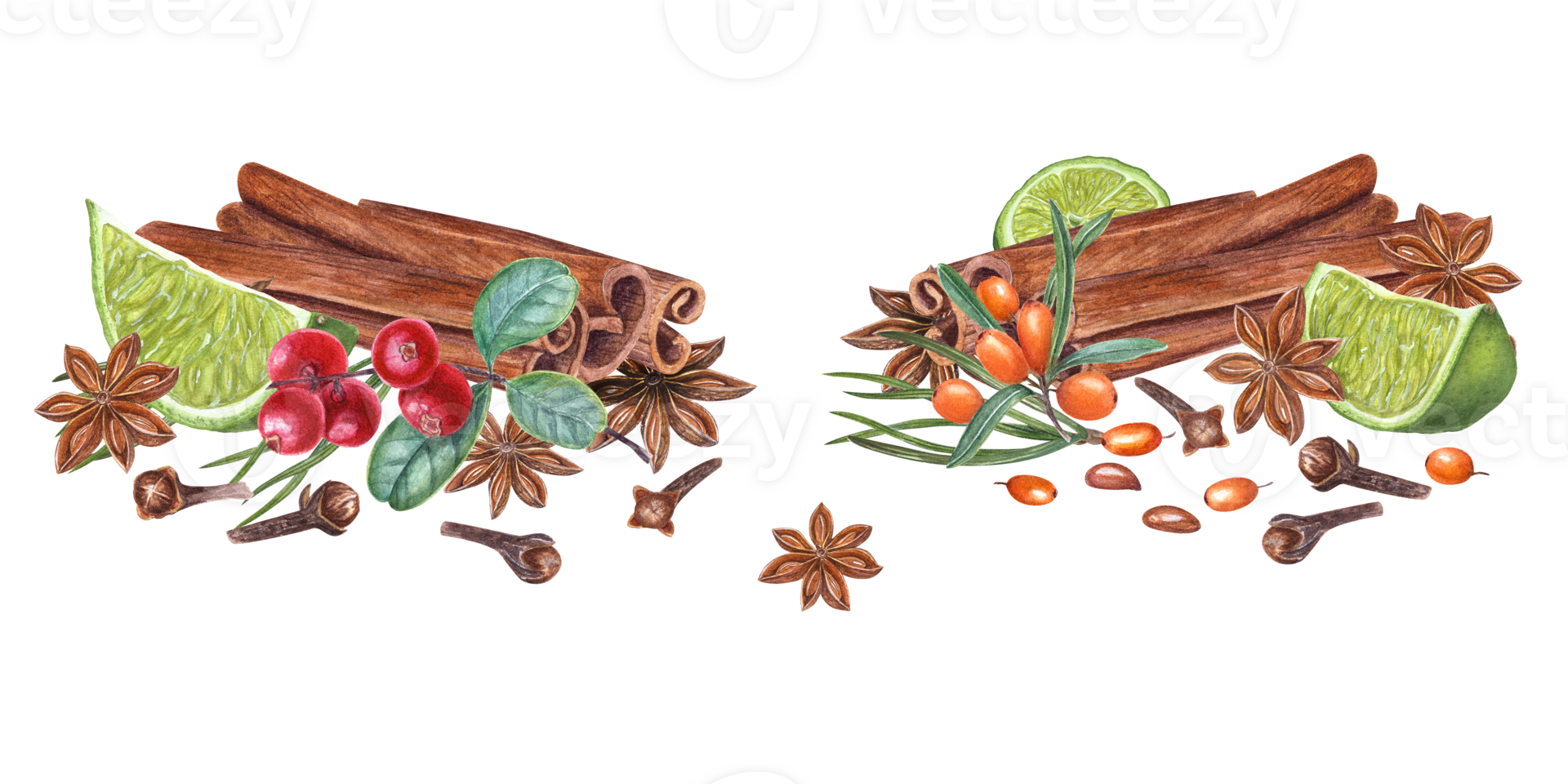 Cinnamon sticks, red huckleberry, sea buckthorn, lime slice, pine needles, cloves, star anise. Watercolor botanical illustration for the design of cards, package design png