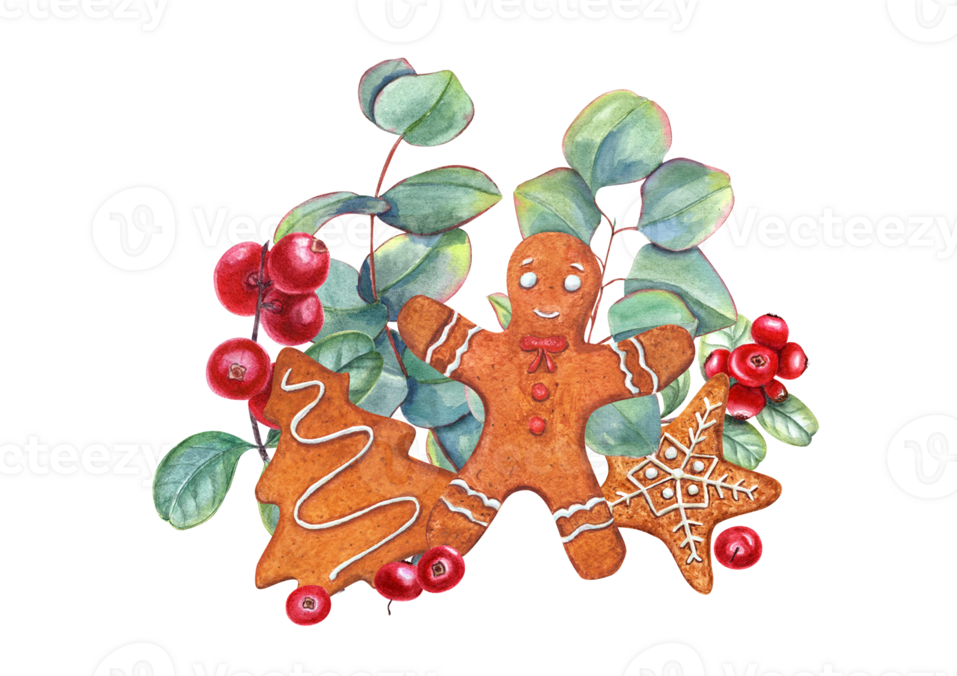 Watercolor Christmas gingerbread cookies with cranberries, eucalyptus. Traditional Xmas pastries decorated with white icing. Gingerbread man, star, spruce, plant, red berries. png