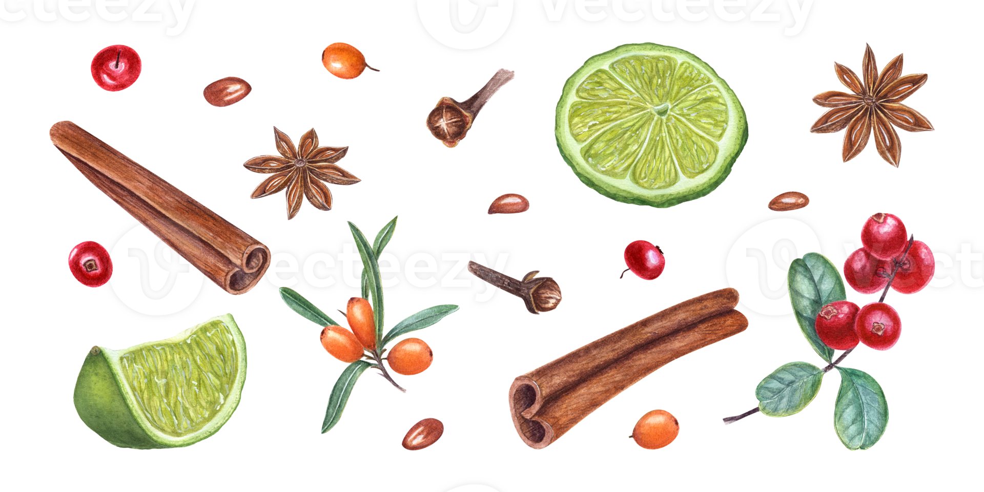 aguarela conjunto do canelas, Estrela anis, Lima fatias, Acerola, mar espinheiro, cravo. ilustração para Natal e Novo ano cartões, saudações, adesivos, especiaria lojas png