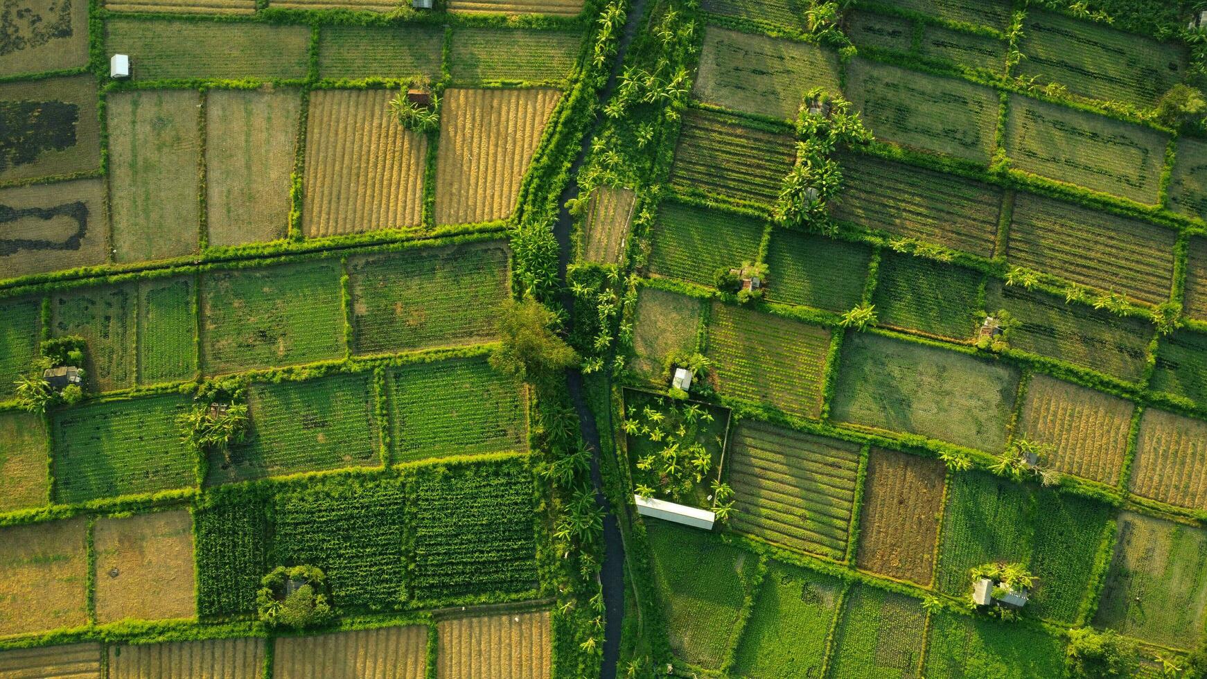 magia hora de granja aéreo foto