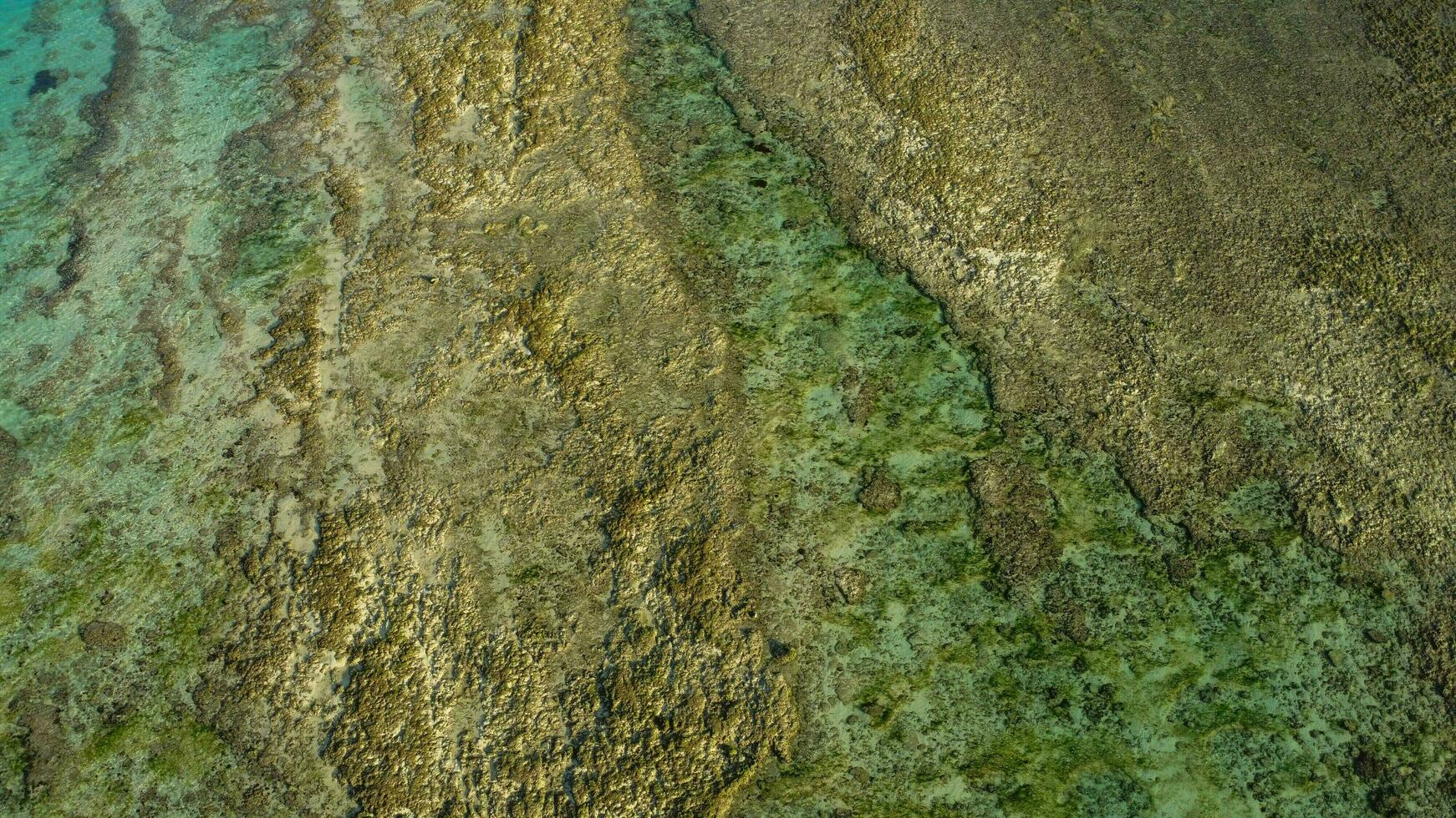 Clear Water Background Texture Top View photo