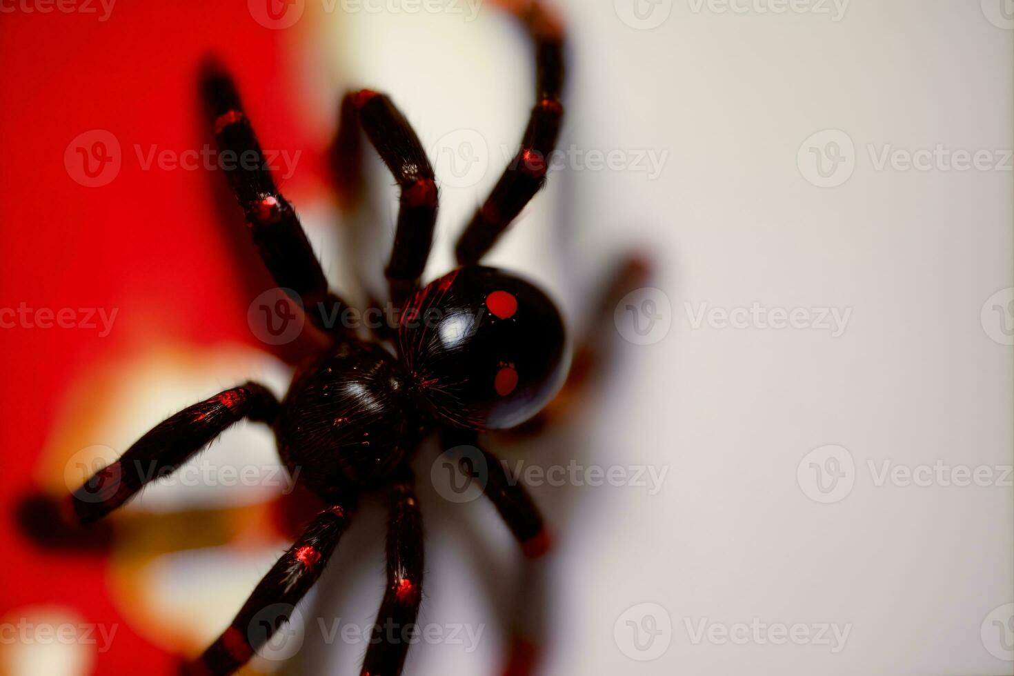 A Close Up Of A Red Spider On A White Surface. AI Generated photo