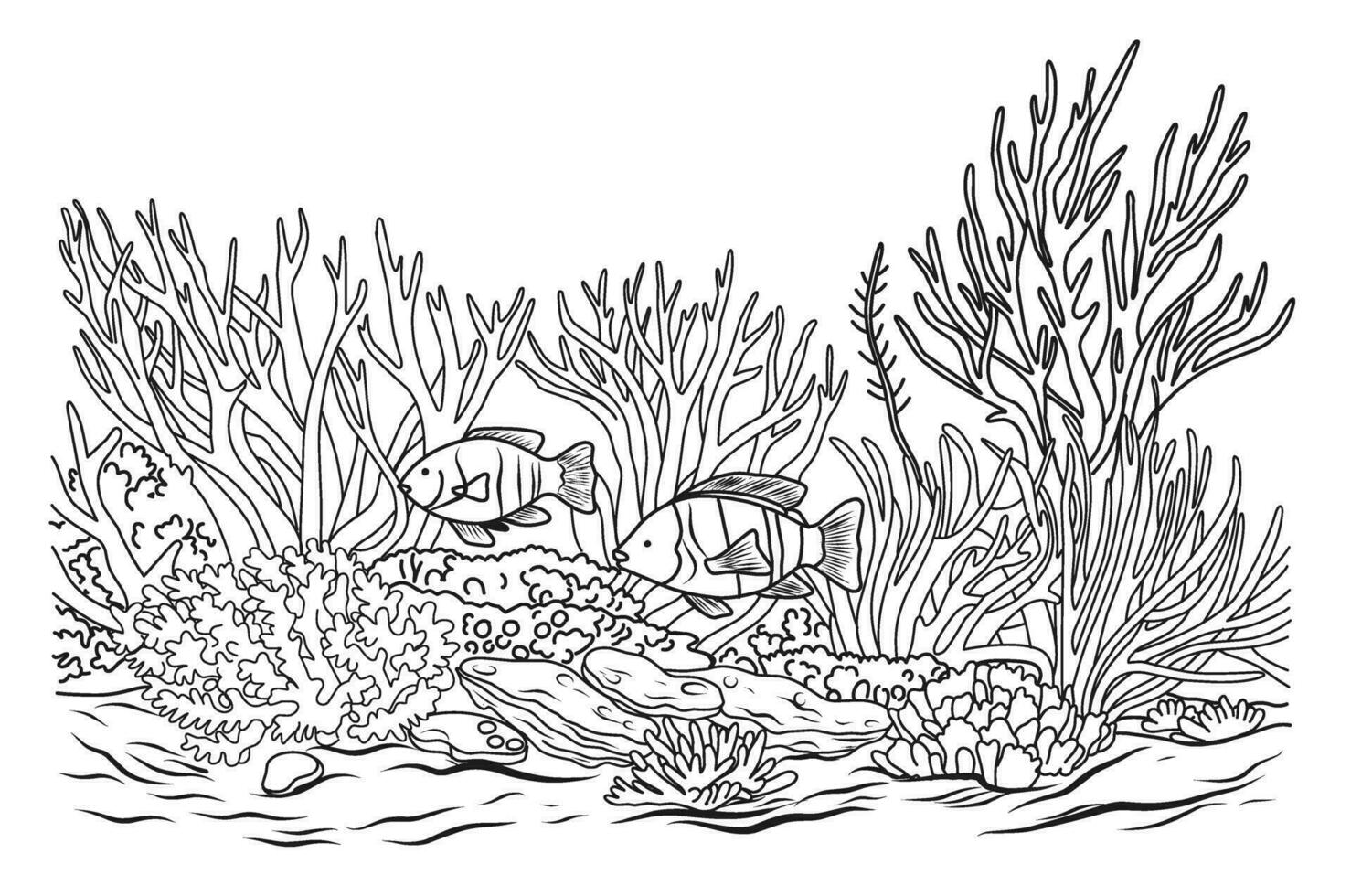 Ocean bottom coloring page with fish and algae. Sea life coloring book vector
