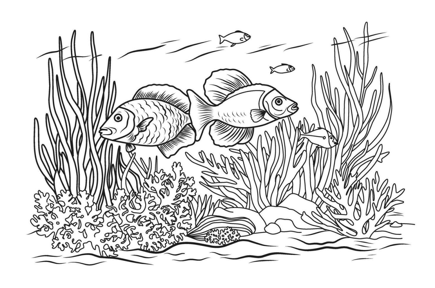 Ocean bottom coloring page with fish and algae. Sea life coloring book vector