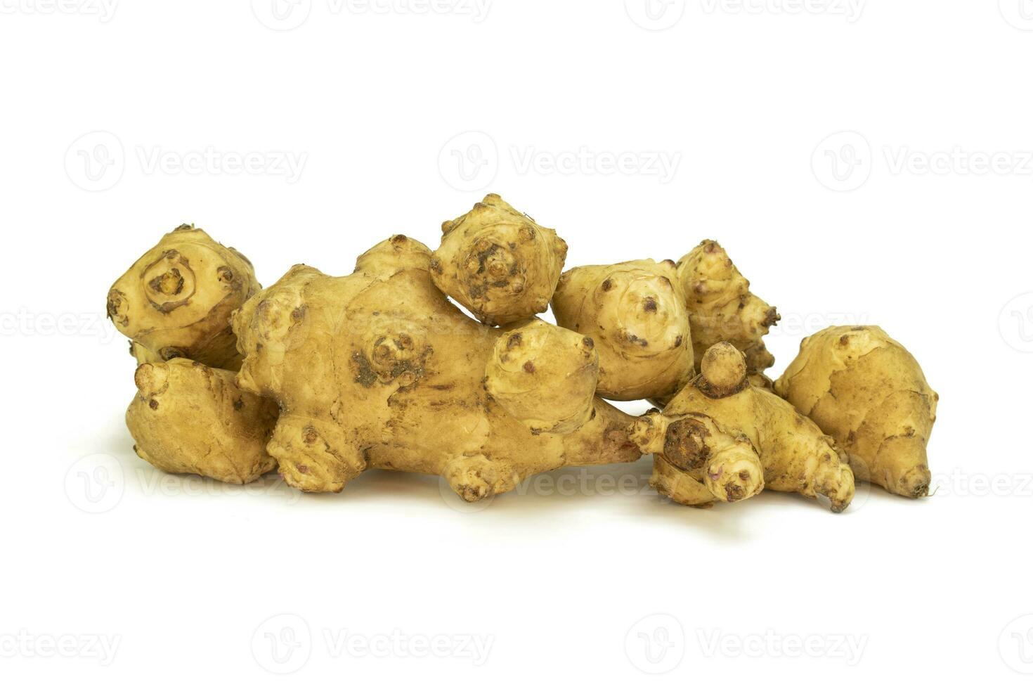 Fresh Jerusalem artichoke Helianthus tuberosus isolated on white background photo