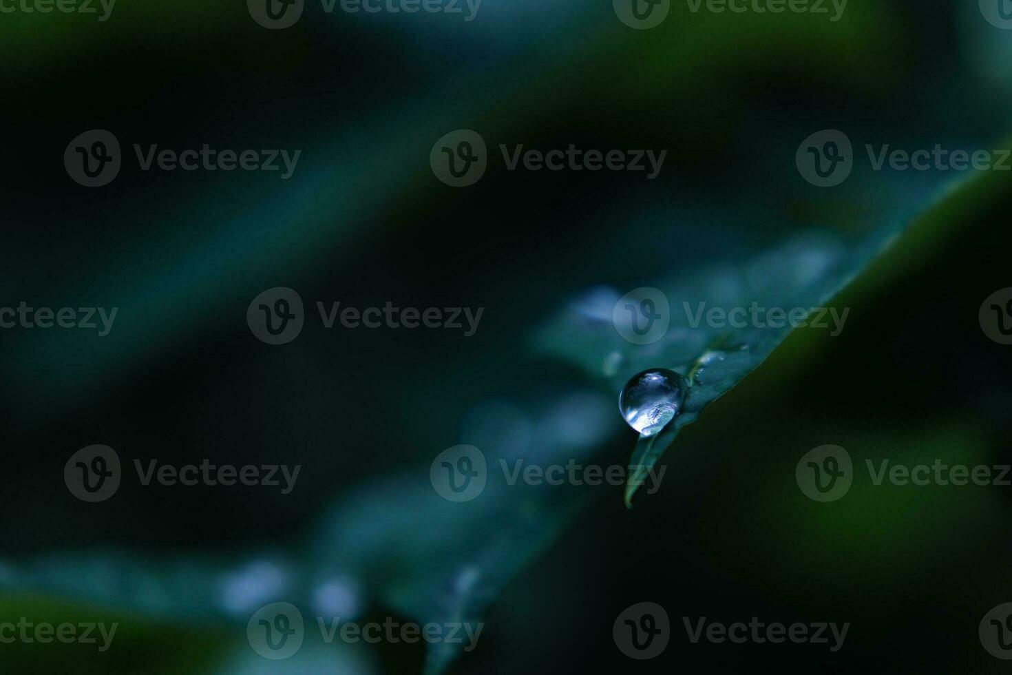 Close-up water drop shot photo