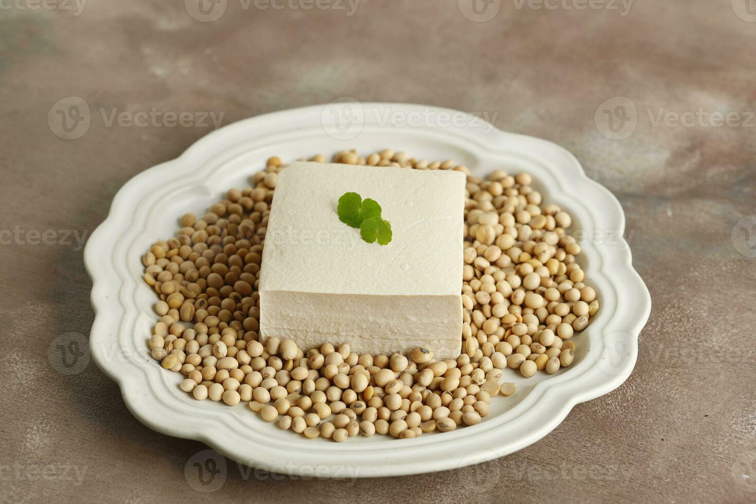 Tahu Sutra or Asian Soft Silken Tofu photo