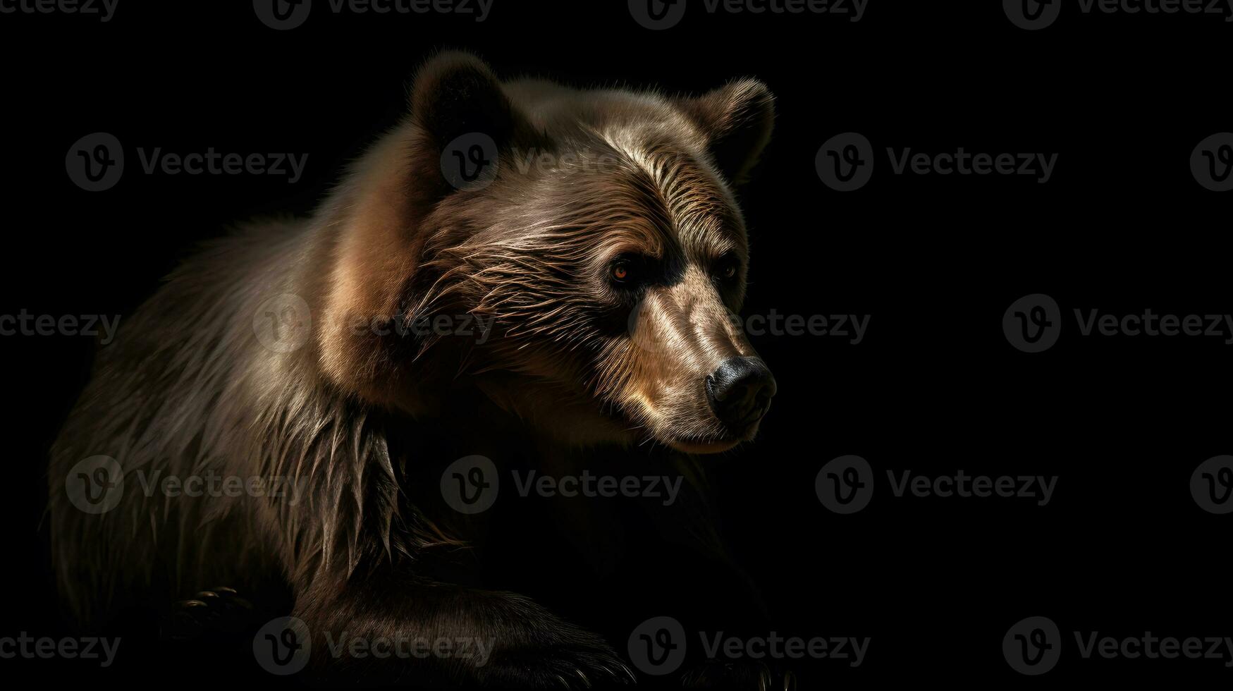 Close up of Brown bear in the dark black background with low light and high contrast. Generative AI photo