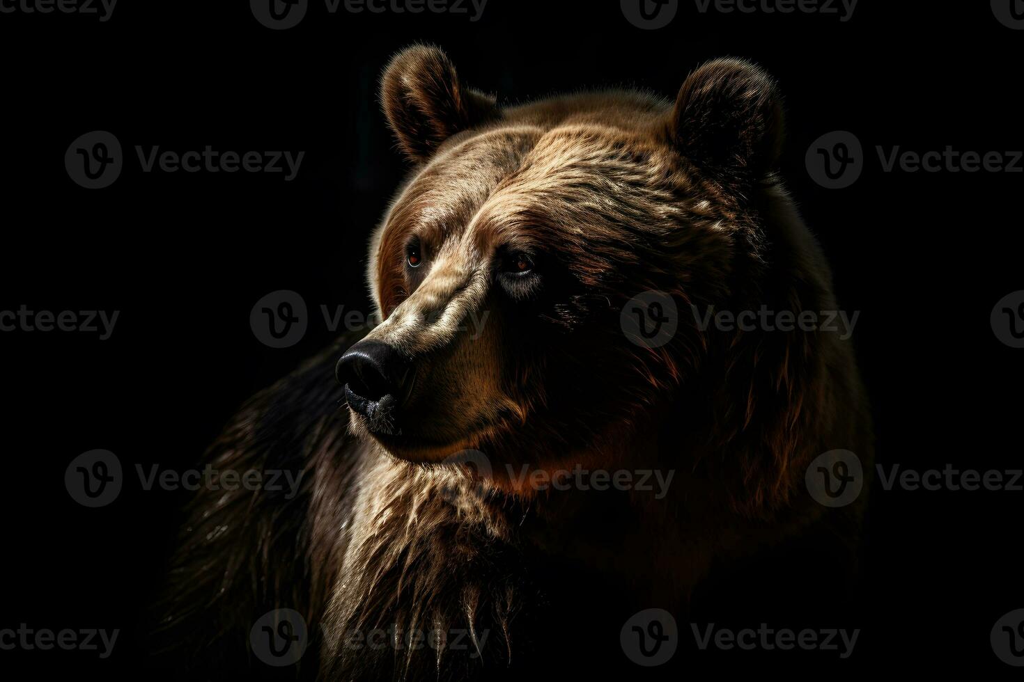 Close up of Brown bear in the dark black background with low light and high contrast. Generative AI photo