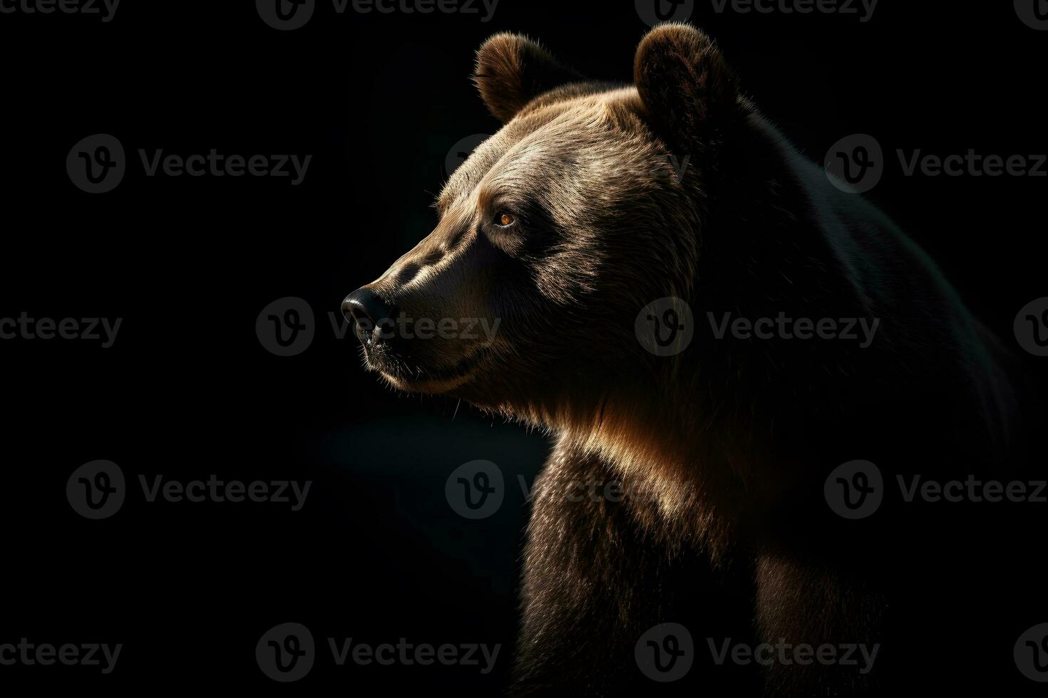 Close up of Brown bear in the dark black background with low light and high contrast. Generative AI photo