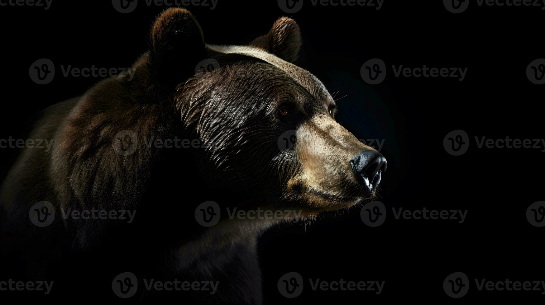 Close up of Brown bear in the dark black background with low light and high contrast. Generative AI photo