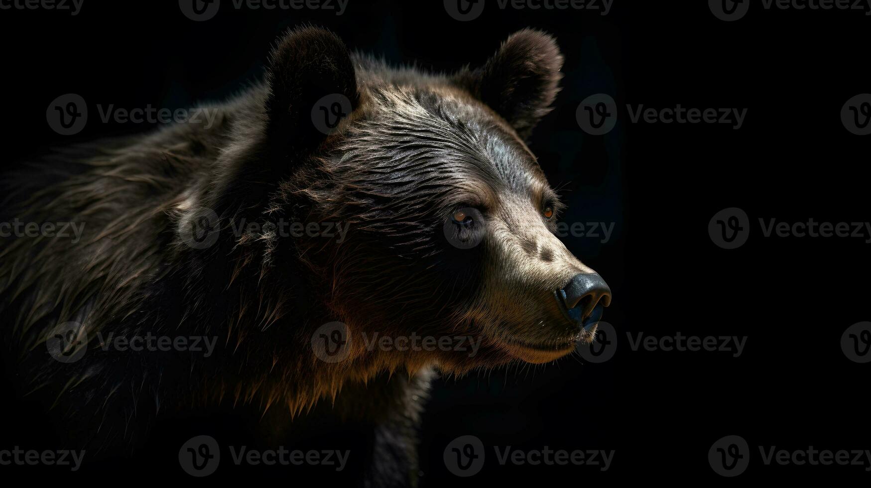 Close up of Brown bear in the dark black background with low light and high contrast. Generative AI photo