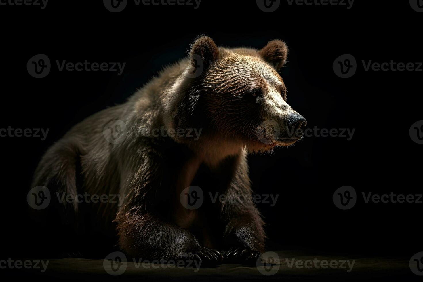 Close up of Brown bear in the dark black background with low light and high contrast. Generative AI photo