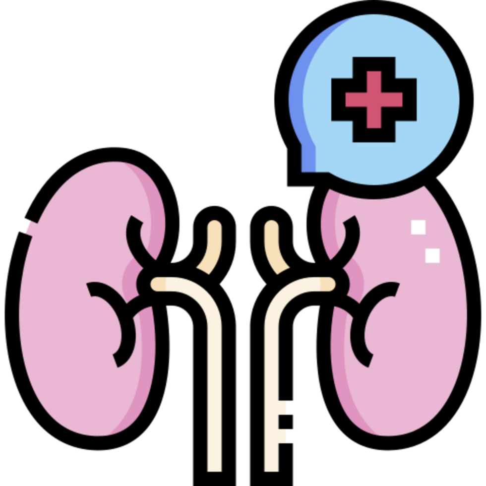 kidney icon design png