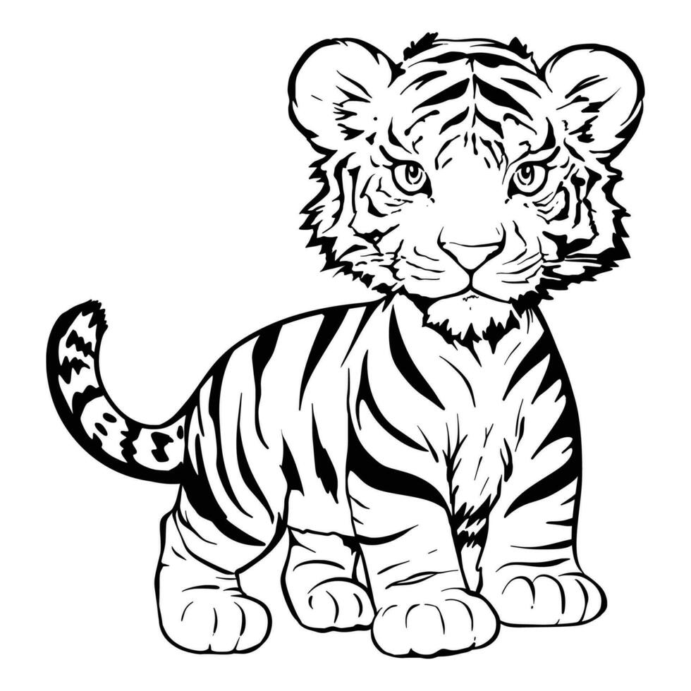 Cute cartoon baby tiger line drawing, black on white background vector