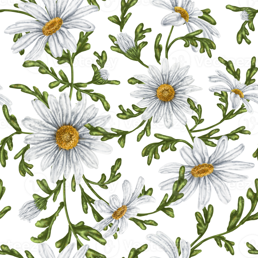 Seamless hand drawn pattern with white chamomiles. Flower background for textiles, fabrics, banner, wrapping paper and other designs. Digital illustration png