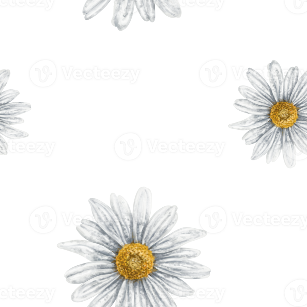 Seamless hand drawn pattern with white chamomiles. Flower background for textiles, fabrics, banner, wrapping paper and other designs. Digital illustration png
