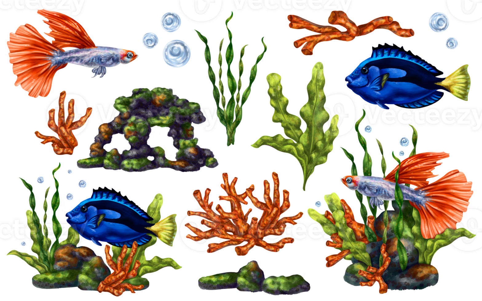 marinier reeks met kleurrijk tropisch vis, rood koralen, zeewier, stenen. leven in een wild wereld onder water. guppy vis, engel vis. snorkelen en duiken in de oceaan. digitaal geïsoleerd illustratie png