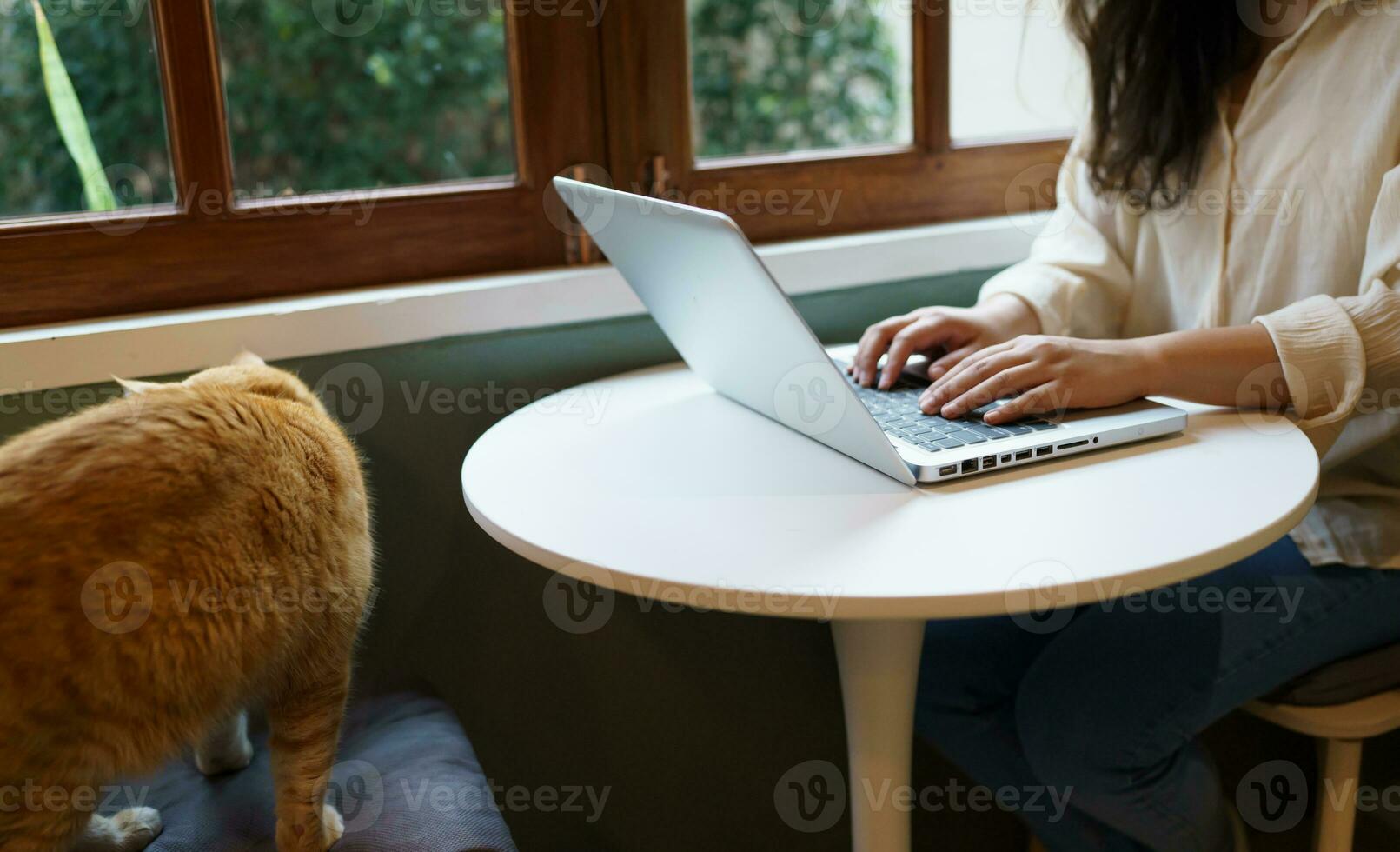 woman working from home with cat. cat asleep on the laptop keyboard. assistant cat working at Laptop photo