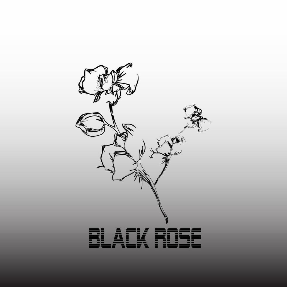 Black rose vector, isolated on black and white background vector