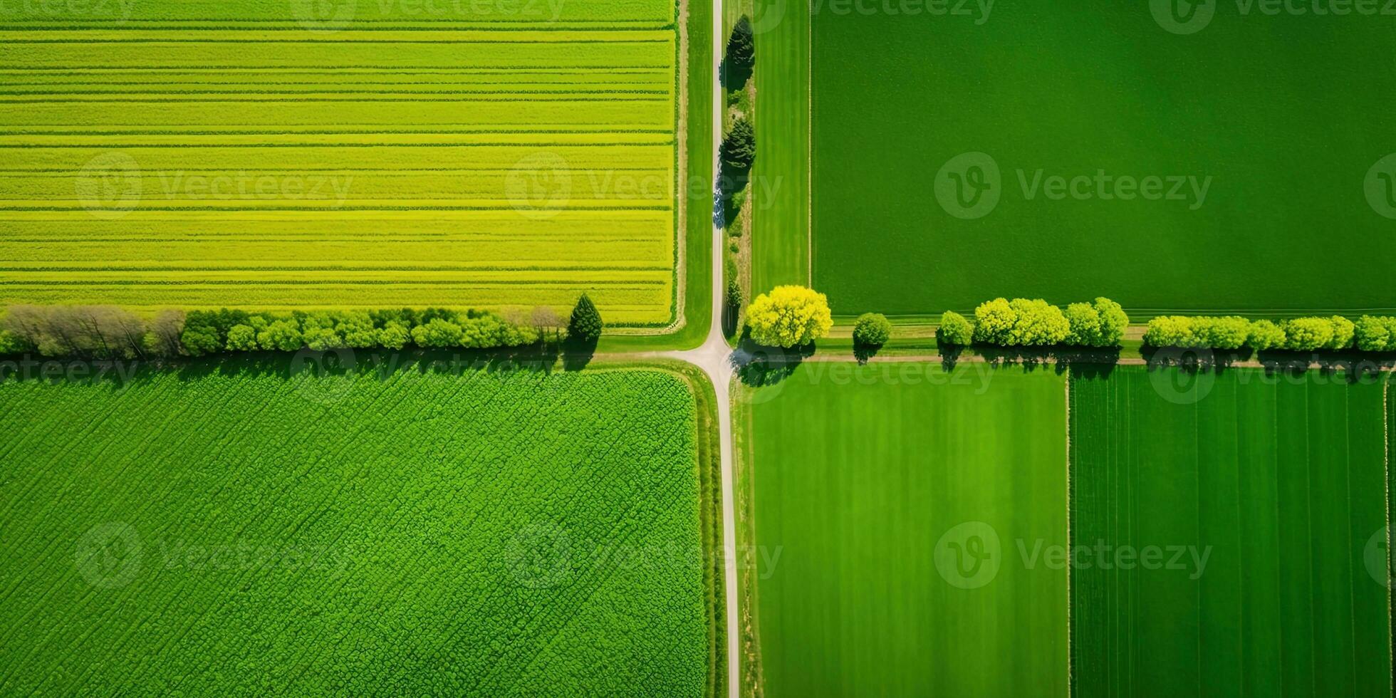 Generative AI, Farm landscape, agricultural fields, beautiful countryside, country road. Nature Illustration, photorealistic top view drone, horizontal banner. photo