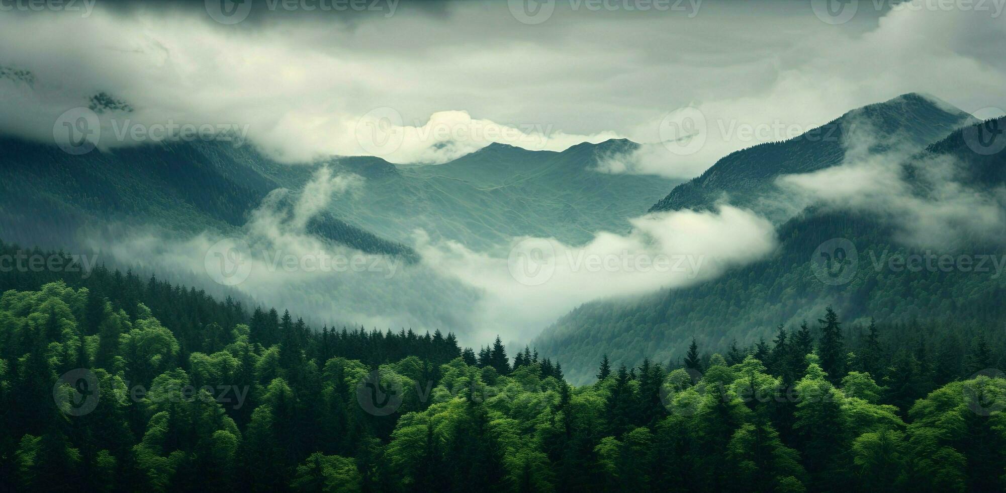 Generative AI, Misty fir forest beautiful landscape in hipster vintage retro style, foggy mountains and trees. photo
