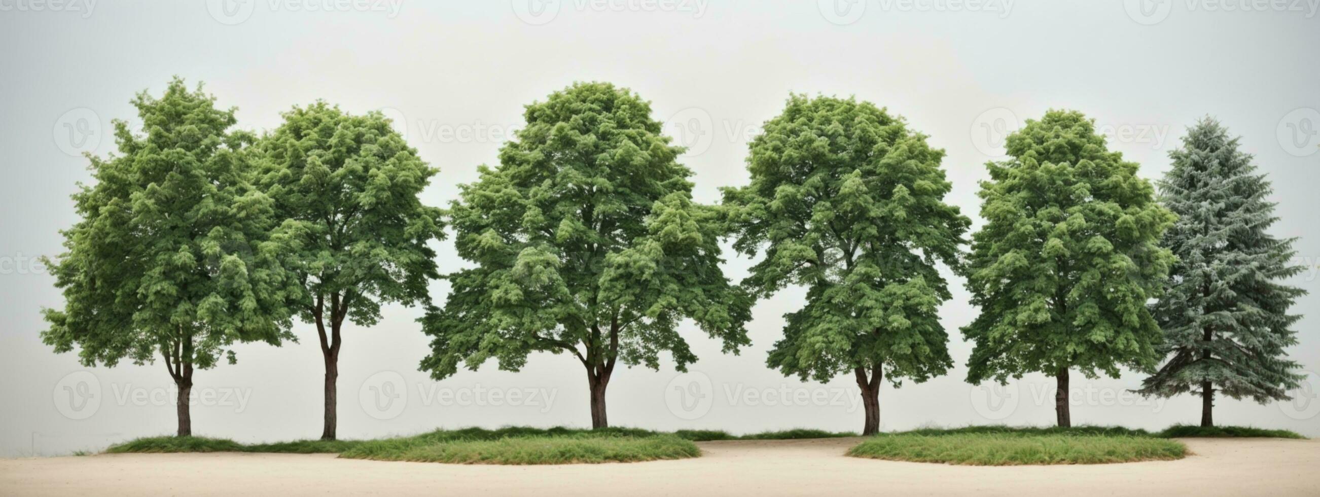 Set of green trees isolated on white background. Different kinds of tree collection. AI generated photo