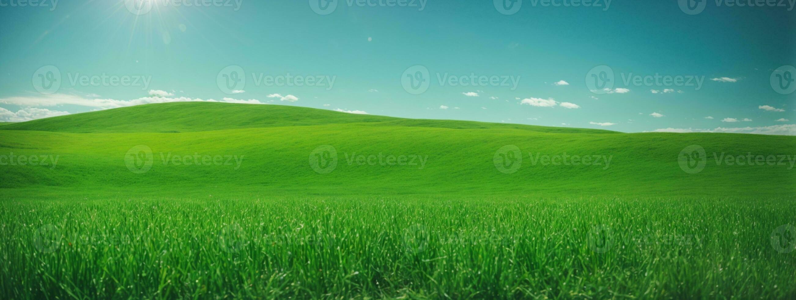 Green grass on blue clear sky, spring nature theme. Panorama. AI generated photo