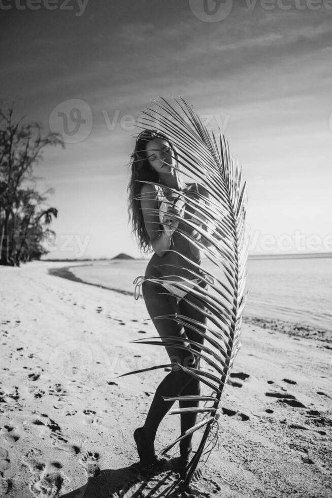 young skinny woman in white bikini swimwear holding leaf of palm tree photo