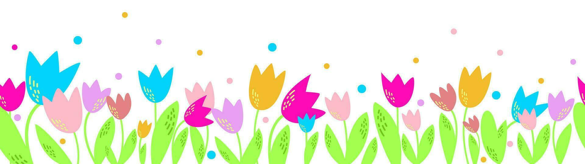 Bright floral vector seamless long background with tulips on a white.