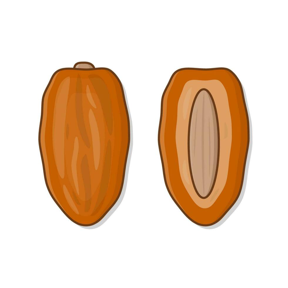 Dates Fruit Ramadan Vector Icon Illustration. Dried Fruit Flat Icon