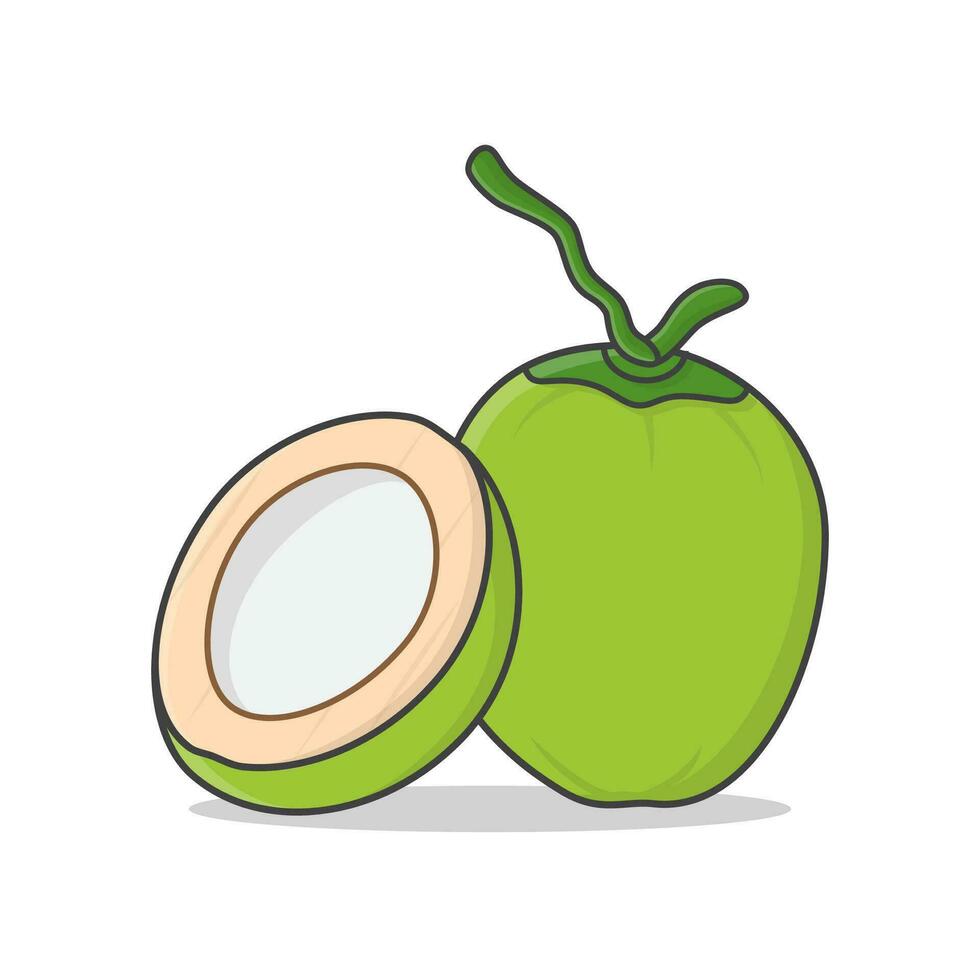 Whole Green Coconut And Half Coconut Vector Icon Illustration. Fresh Young Coconut Icon