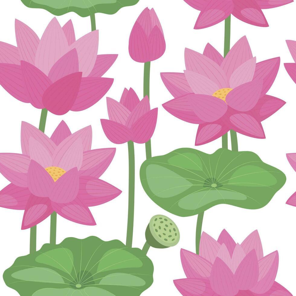 Seamless pattern of hand-drawn tropical flowers lotus. Vector botanical illustration.