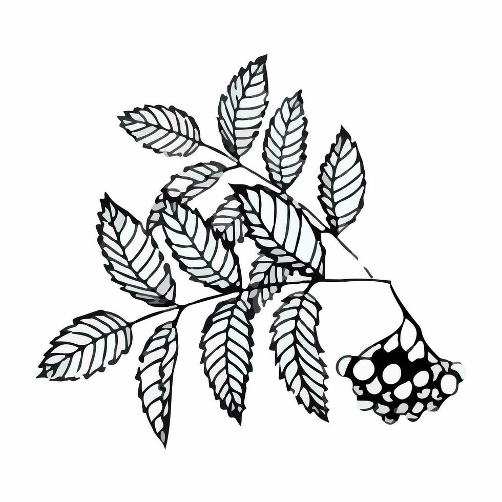 Hand-drawn composition of autumn leaves in doodle style. Vector illustration isolated on white background.