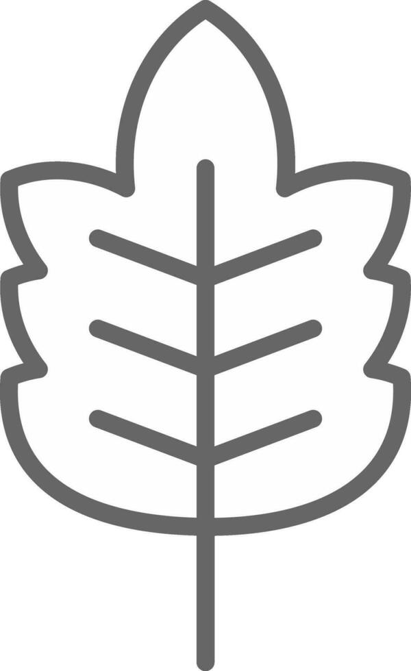 Leaf Vector Icon Design