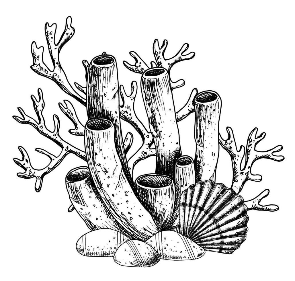 coral arrecifes con concha y fondo del mar. vector mano dibujado ilustración de mar piso en aislado antecedentes. submarino línea Arte composición con algas marinas y piedras dibujo pintado por negro tintas