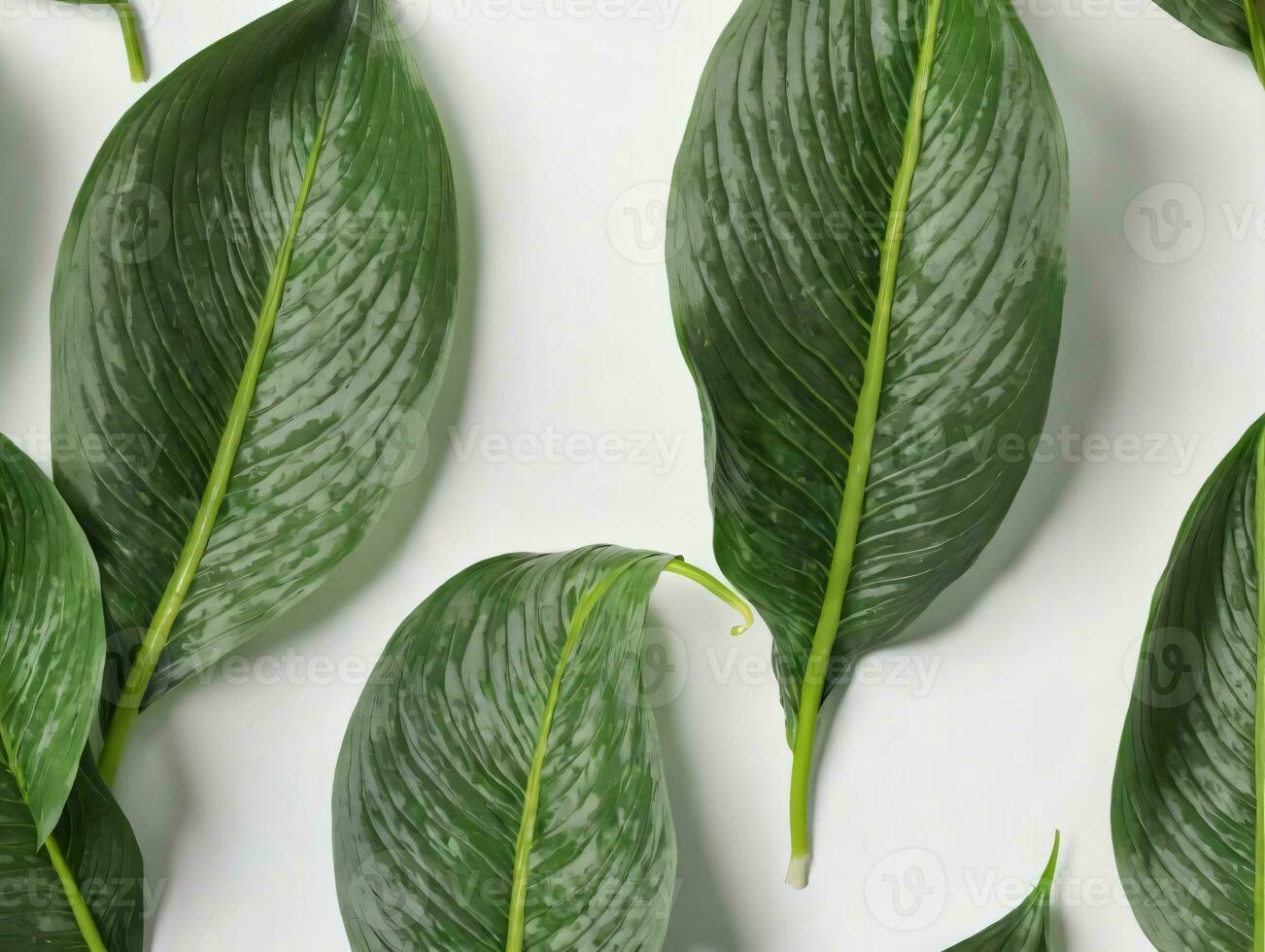 A Group Of Green Leaves On A White Surface. AI Generated photo