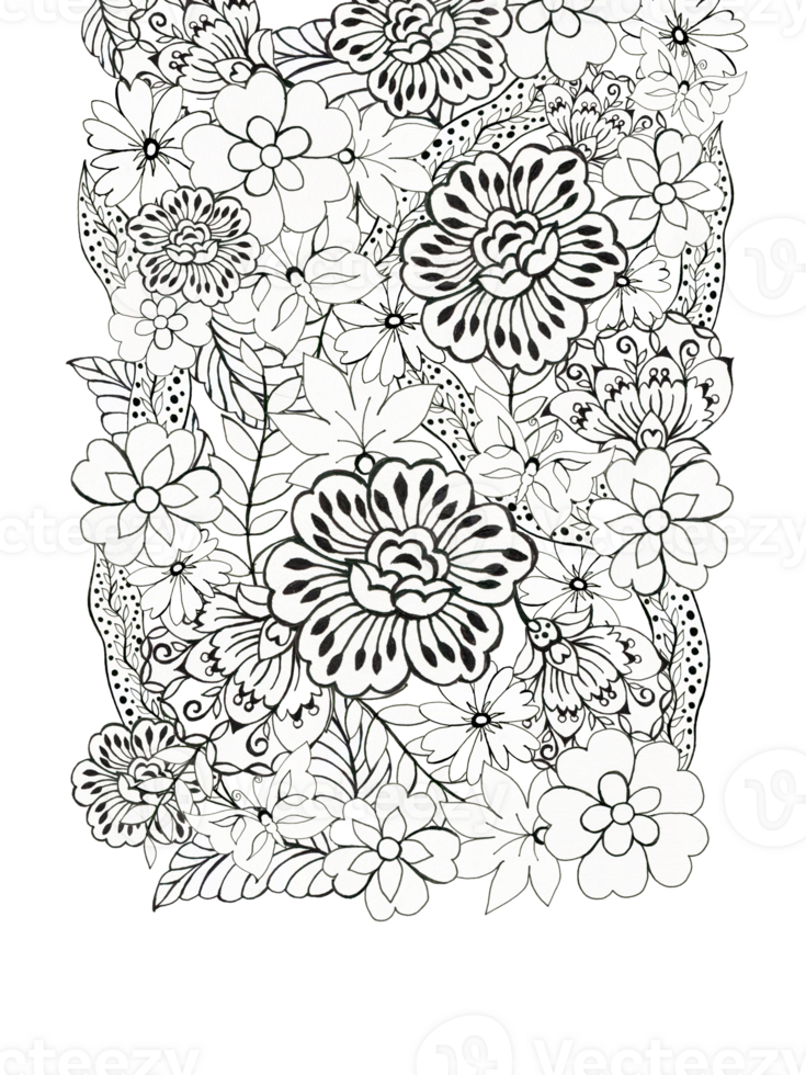 The beautiful of flower foliage art asian oriental template card border outline black Hand Painted png