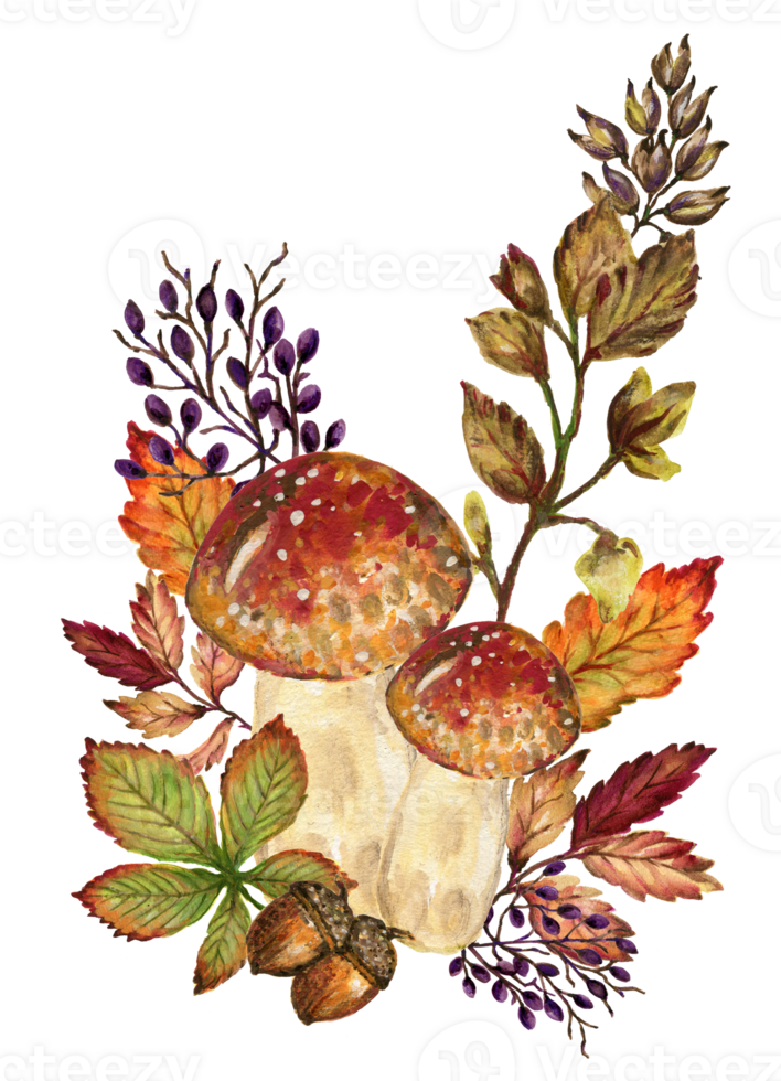 Watercolor botanical autumn and fall forest elements set hand painted illustration gouache png