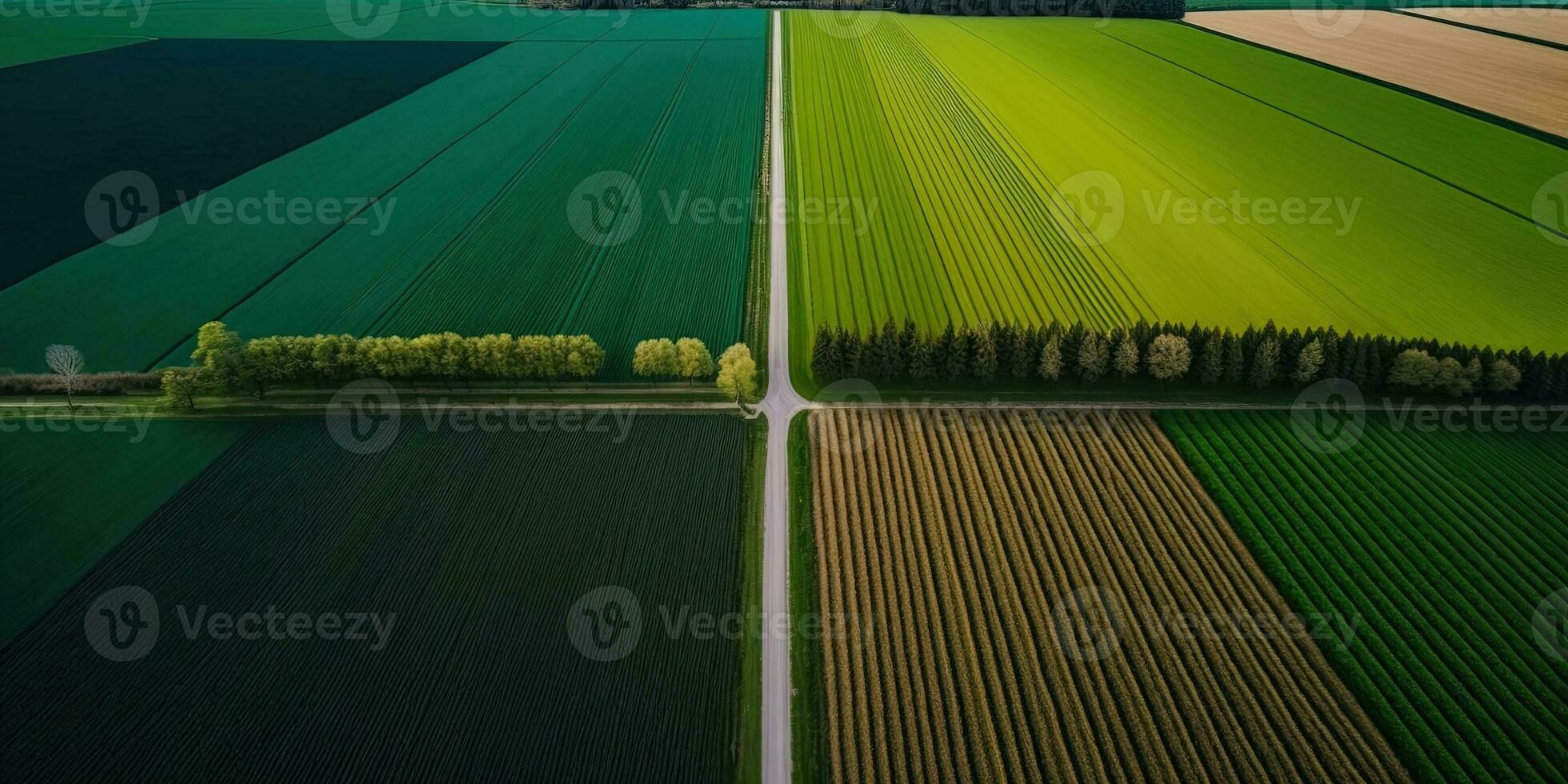 Generative AI, Farm landscape, agricultural fields, beautiful countryside, country road. Nature Illustration, photorealistic top view drone, horizontal banner. photo