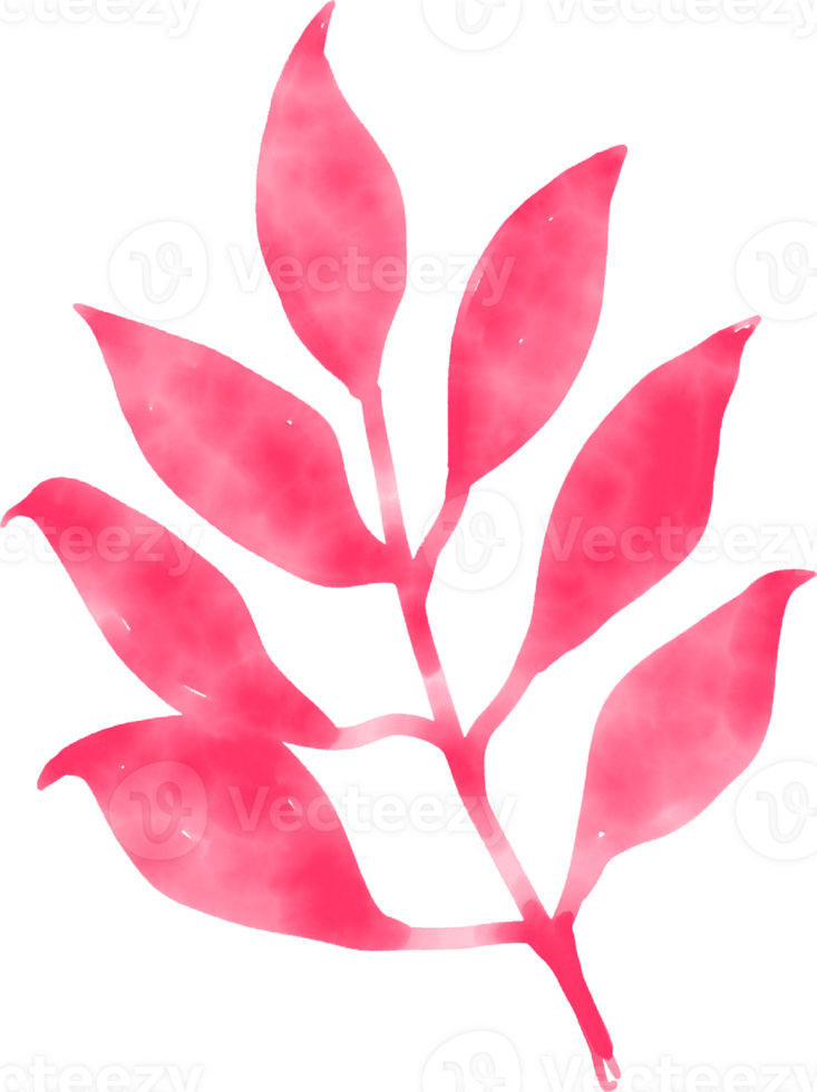 Oriental colorful cute asian doodle flower abstract leaf foliage png