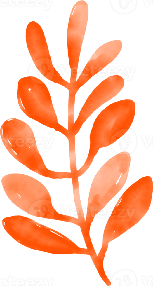 Oriental colorful cute asian doodle flower abstract leaf foliage png
