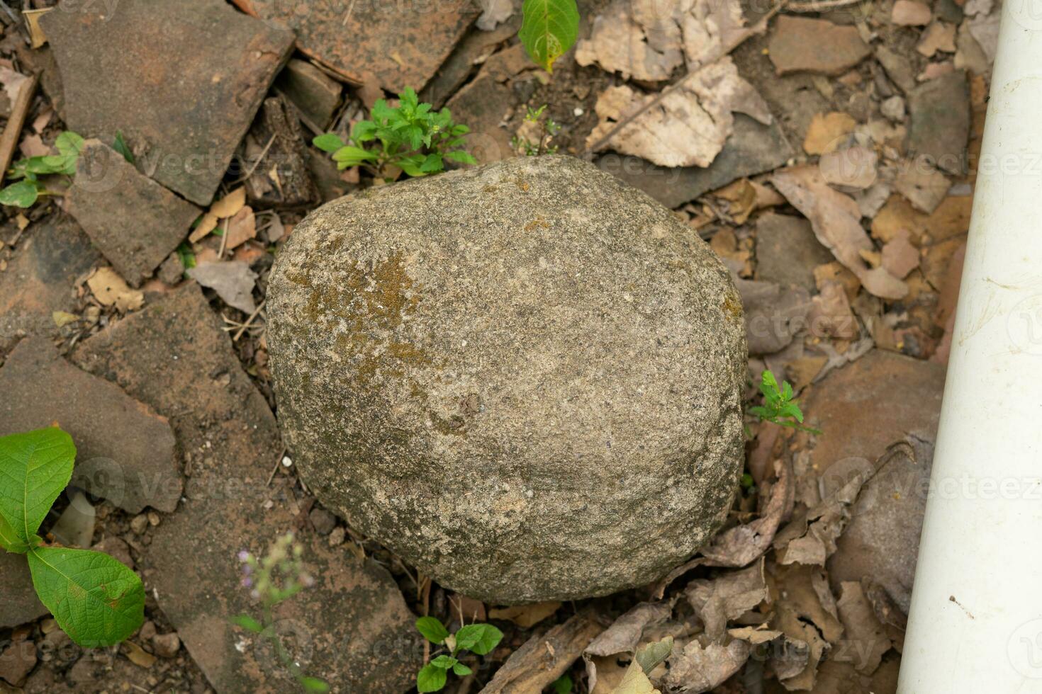 Round granite stones on forest photo
