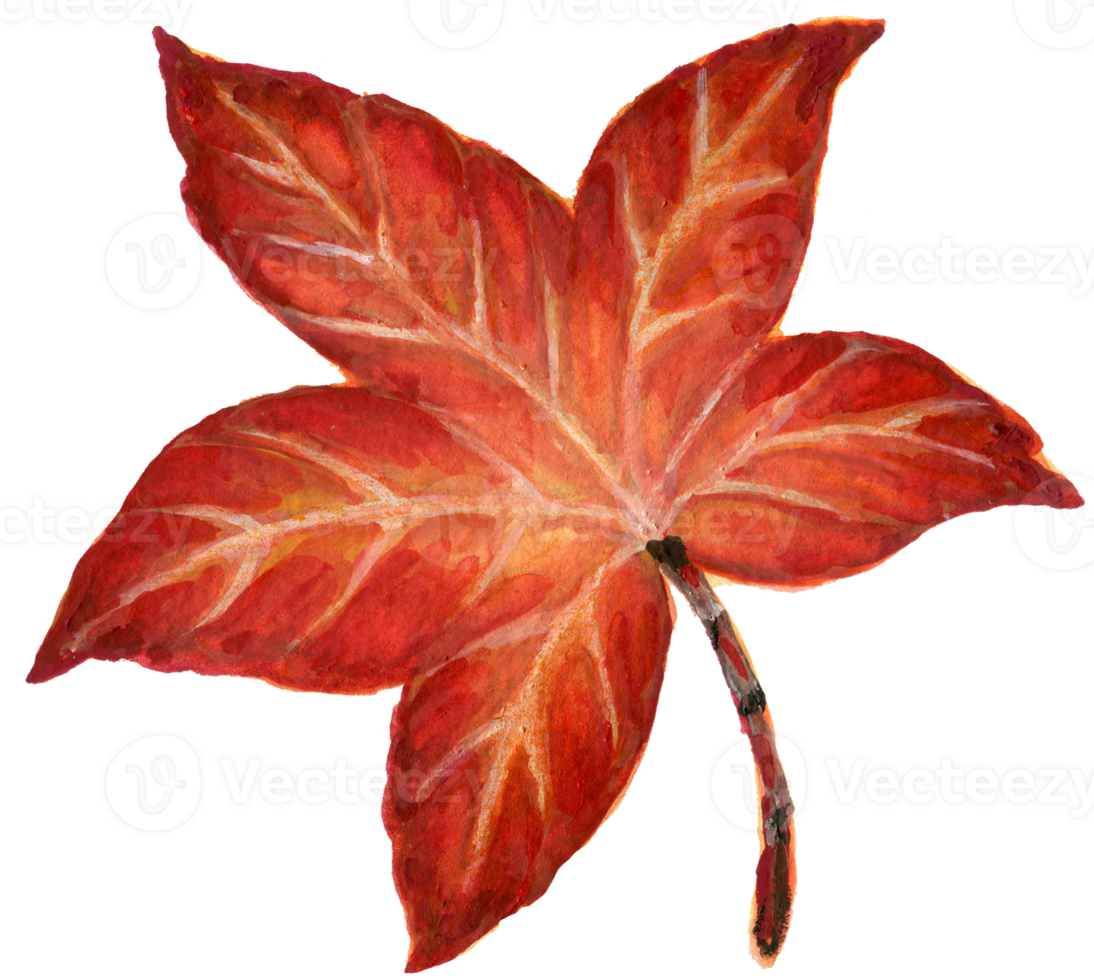 Watercolor gouache vintage autumn and fall seasons set of leaves, branches, bird, fox, mushroom and pumpkins Thanksgiving, Halloween illustration for your design hand painted png