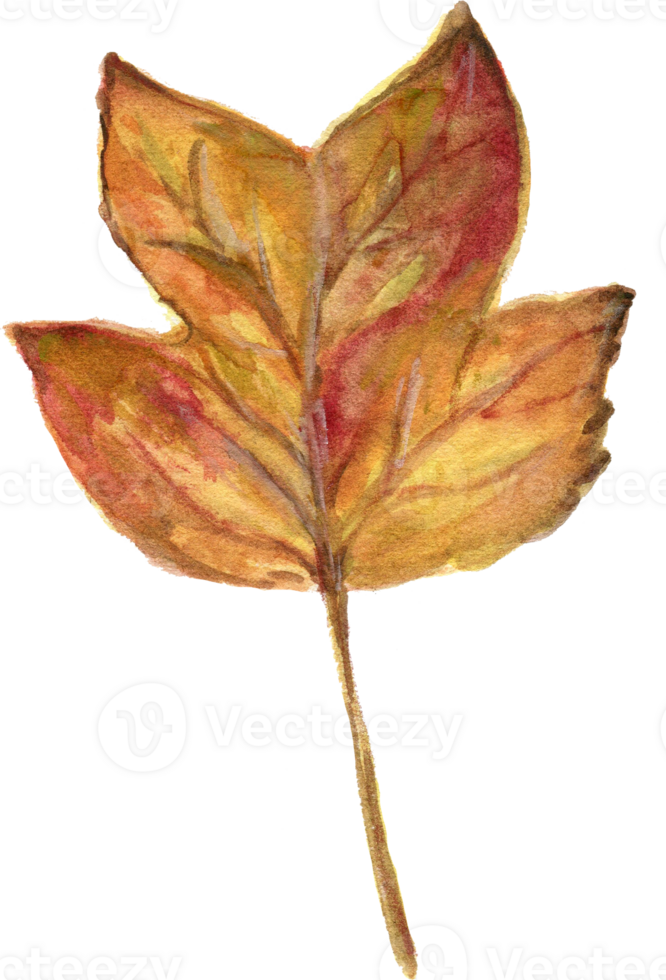 Watercolor gouache vintage autumn and fall seasons set of leaves, branches, bird, fox, mushroom and pumpkins Thanksgiving, Halloween illustration for your design hand painted png