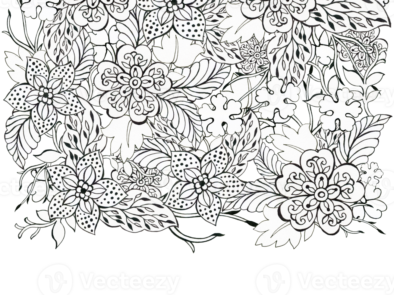 The beautiful of flower foliage art asian oriental template card border outline black Hand Painted png