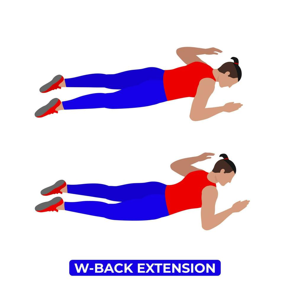 Vector Man Doing W Back Extension. Bodyweight Fitness Back and Core Workout Exercise. An Educational Illustration On A White Background.