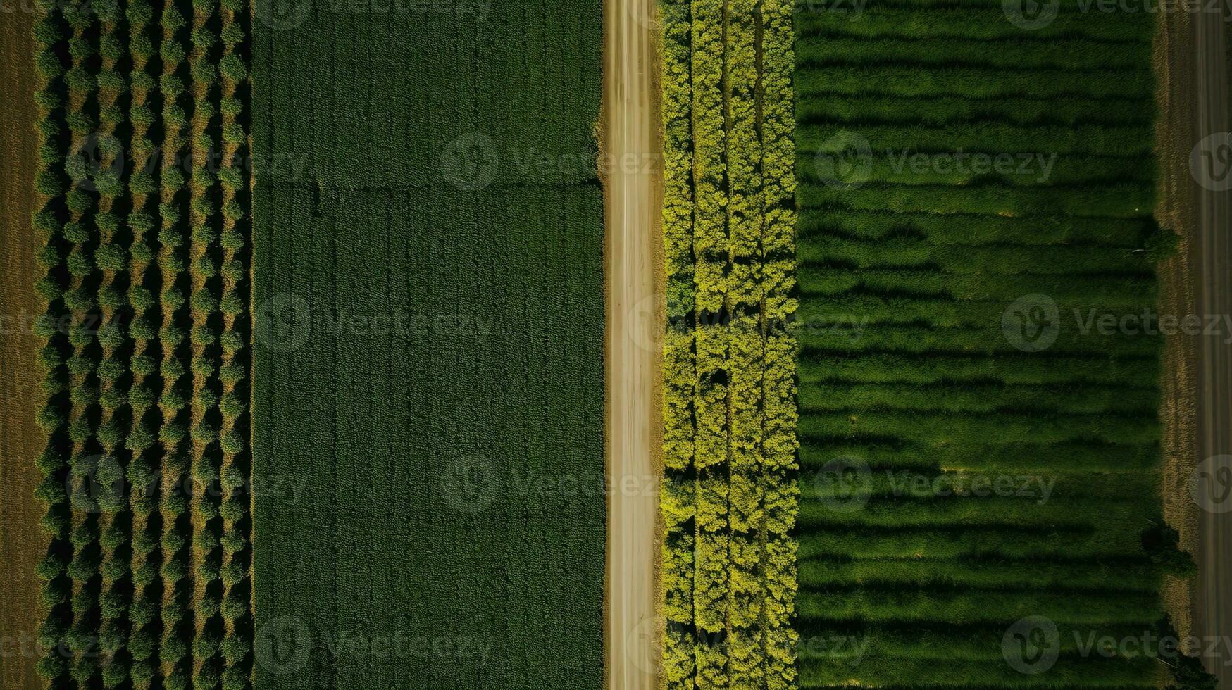 Generative AI, Farm landscape, agricultural fields, beautiful countryside, country road. Nature Illustration, photorealistic top view drone, horizontal banner. photo