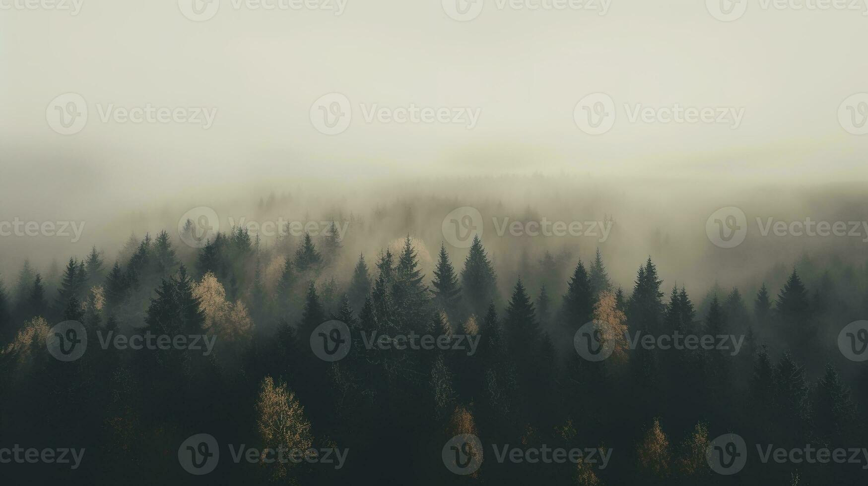 Generative AI, Misty autumn fir forest beautiful landscape in hipster vintage retro style, foggy mountains and trees. photo