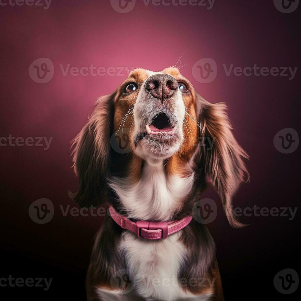 Generative AI, Portrait of a happy dog looking at the camera with mouth open on pink background photo